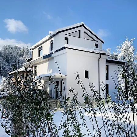 Lukasfeld 9 Erika Appartement Hopfgarten im Brixental