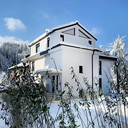 Lukasfeld 9 Erika Apartman Hopfgarten im Brixental